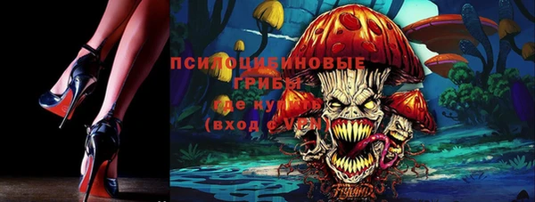 ПСИЛОЦИБИНОВЫЕ ГРИБЫ Гусь-Хрустальный