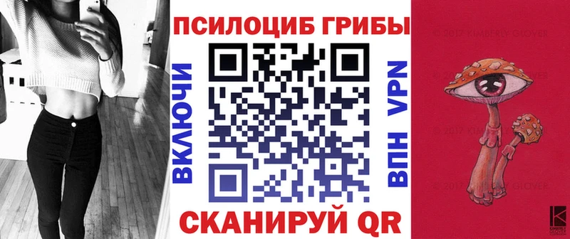 Псилоцибиновые грибы Psilocybine cubensis  Дубовка 